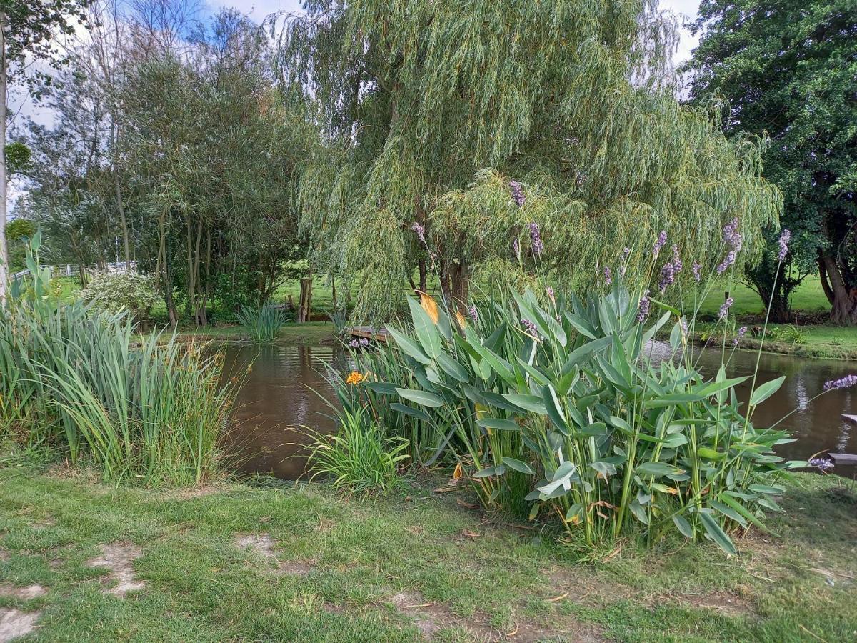 La Gasteboisiere With Swimming Pool And Games Room Le Mesnil-Adelee Экстерьер фото